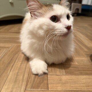 私だけを見て！の一人っ子タイプ