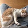 ユズキゆ さん