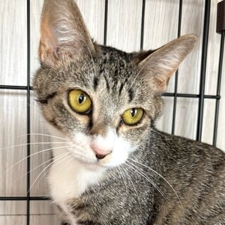 ルルちゃん！控えめだけど魅力たっぷり！