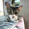 ルルちゃん！控えめだけど魅力たっぷり！ サムネイル2