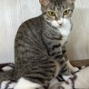 ルルちゃん！控えめだけど魅力たっぷり！ サムネイル3