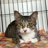 ルルちゃん！控えめだけど魅力たっぷり！ サムネイル4