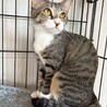 ルルちゃん！控えめだけど魅力たっぷり！ サムネイル7