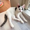 8/9高田馬場★すーちんちゃん★人懐っこくcute サムネイル2