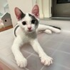 8/9高田馬場★すーちんちゃん★人懐っこくcute サムネイル3