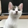 8/9高田馬場★なえちゃん★のんびりほんわか女子 サムネイル6
