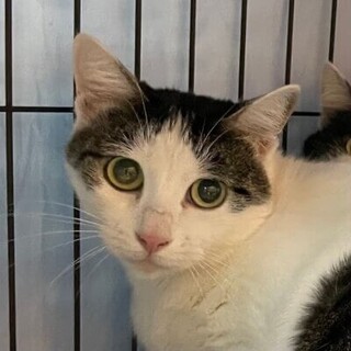 実はスリスリ大好き！？ヨーエンちゃん
