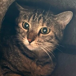 まだちょっと緊張中、頑張ってるコキンちゃん！