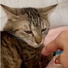 まだちょっと緊張中、頑張ってるコキンちゃん！ サムネイル5