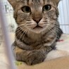まだちょっと緊張中、頑張ってるコキンちゃん！ サムネイル6