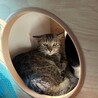 まだちょっと緊張中、頑張ってるコキンちゃん！ サムネイル7