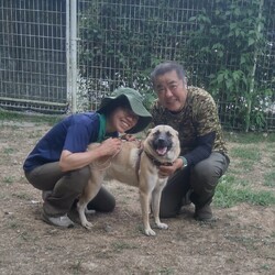 保護犬コロ君の里帰り