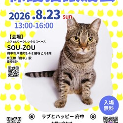8月23日ラブとハッピー府中 保護猫譲渡会に参加