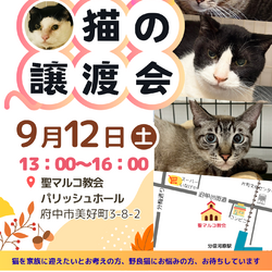 9月12日（土）「保護猫の譲渡会」開催します！