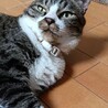 肝っ玉娘♩のお嫁入り先を募集！！ サムネイル3