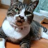 肝っ玉娘♩のお嫁入り先を募集！！ サムネイル4