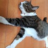 肝っ玉娘♩のお嫁入り先を募集！！ サムネイル5