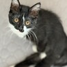 半長毛系ハンディがあっても猛ダッシュ❤️つむぎ サムネイル6