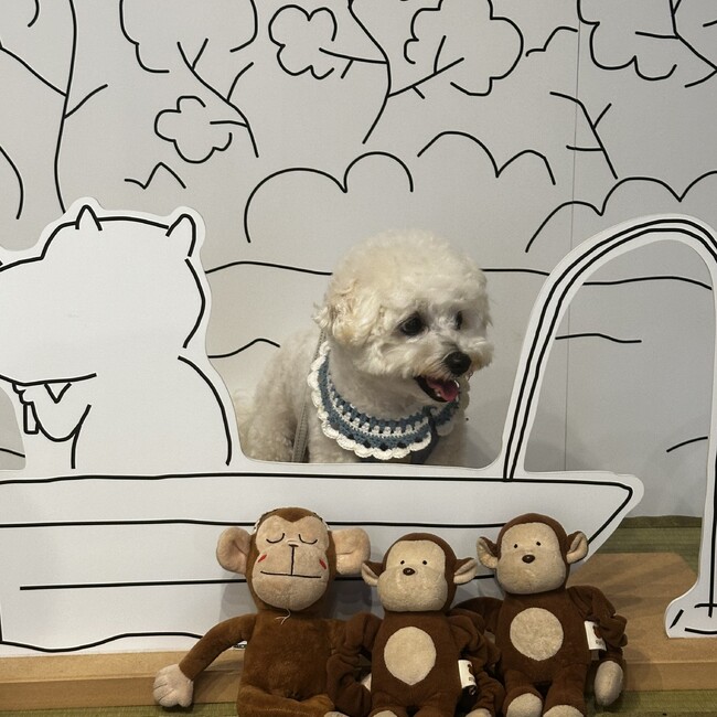 Thewのカバー写真