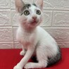 いってらっしゃい！留守番は任せろ❤テンテン サムネイル6