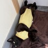 子育て卒業して自分の幸せ探します♪ サムネイル3