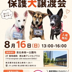 2026年8月16日保護いぬ譲渡会＠恵比寿