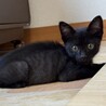 ちょ～甘えん坊な男の子♡ サムネイル2