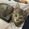 人が大好きな かまちょ♡ サムネイル3