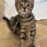 活発な甘えん坊♡ サムネイル2