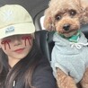 オコメダオ