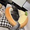 チョコミントハニー