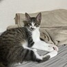 のんびり穏やか〜おっとり3兄妹のイケメン♡ひおり