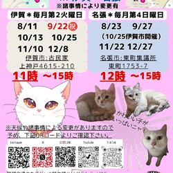 猫の里親会in名張❣