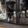 可能性までまるっと受け入れてくださる方、いませんか