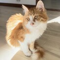 抱っこ大好き♡ふわふわ「わたげ」1歳・男の子