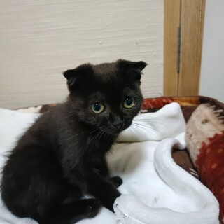 〝さいちちゃん〟です♪