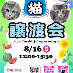 ほごねこ東京譲渡会＠駒込　駒込駅徒歩7分