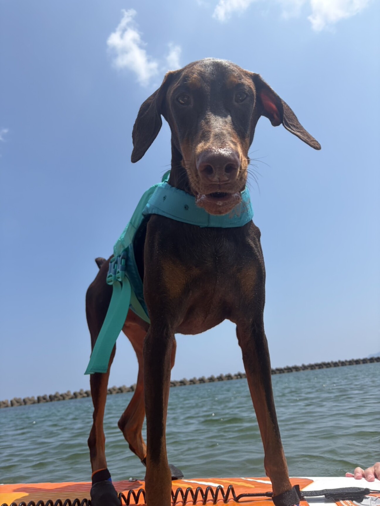 2102209.jpeg