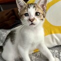 赤ちゃんぽくて心くすぐる、暁くん