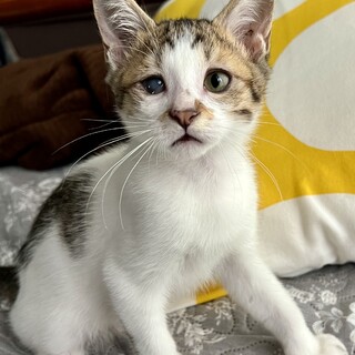 赤ちゃんぽくて心くすぐる、暁くん