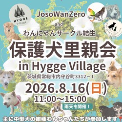 保護犬里親会（屋内なので雨でも開催）