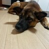 ムツくん サムネイル3