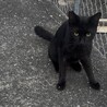 身体の小さな男の子