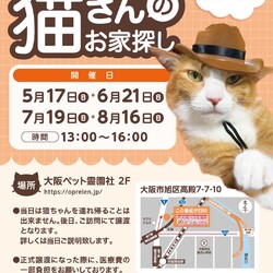 第96回 ViVAキャッツ譲渡会