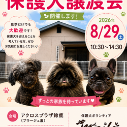 保護犬ボランティアマイレ保護犬譲渡会