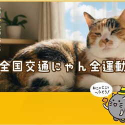 イエローハット用賀店　保護猫譲渡会