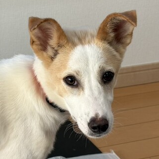 なみ　女の子　