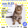 やまが♀3～4歳:8月23日譲渡会※初参加 サムネイル7