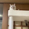元気いっぱいで甘えん坊の女の子 サムネイル3