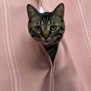 とても甘えん坊の男の子
